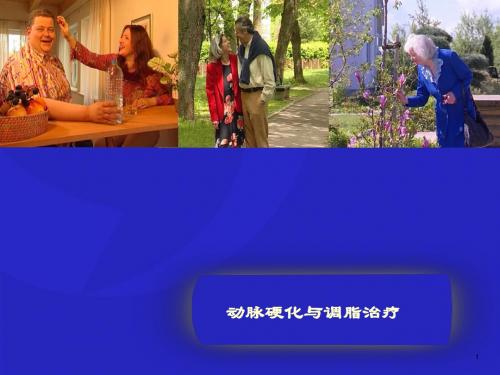 2012.12.3动脉硬化与调脂治疗-PPT课件
