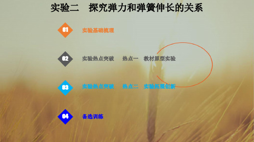 2019版总复习高中物理课件：第二章 相互作用2-4-1-实验二 探究弹力和弹簧伸长的关系 精品