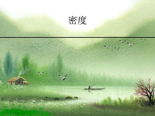 密度练习题