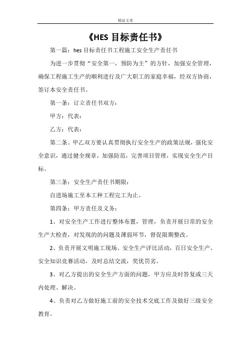 《HES目标责任书》
