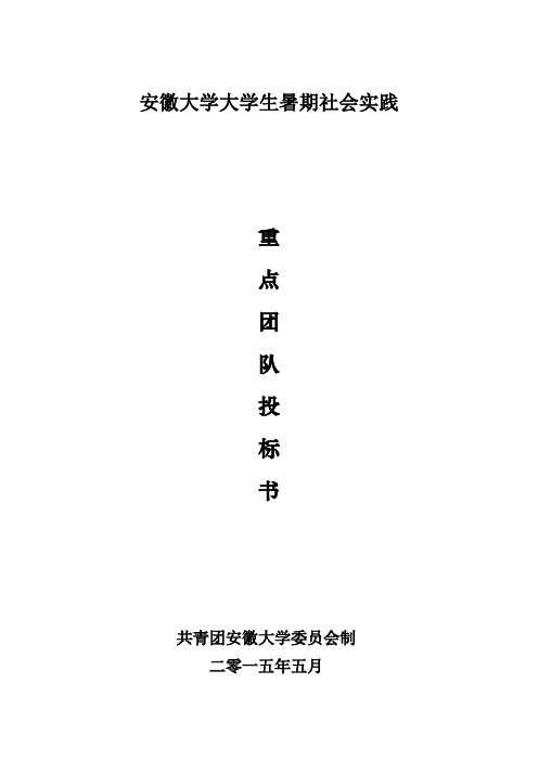 重点团队投标书