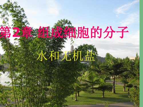 高中生物 2.5《水和无机盐》1课件 新人教版必修1