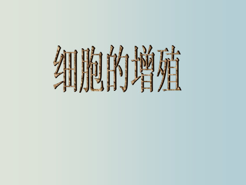 高考生物 细胞增殖