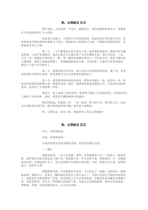 你，让我驻足作文
