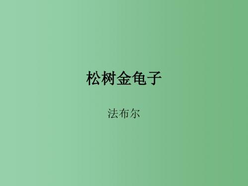 七年级语文下册 第16课《松树金龟子》课件 (新版)苏教版