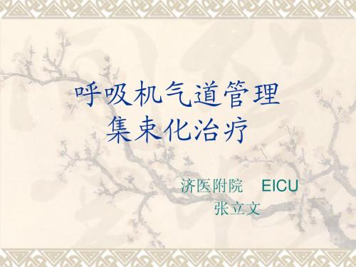 呼吸机气道管理集束化治疗2