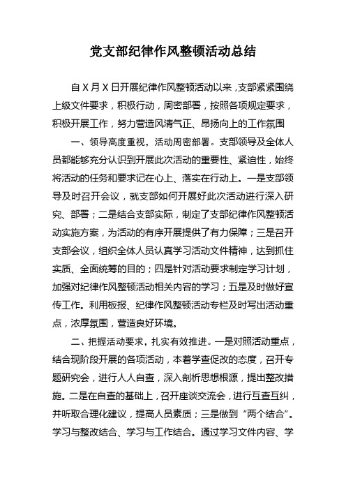 党支部纪律作风活动总结