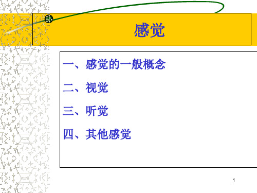 感觉的概念_PPT课件