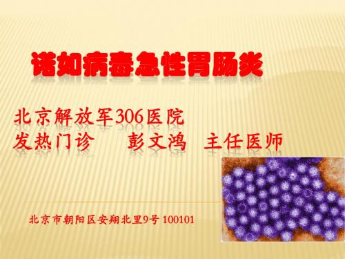 诺如病毒胃肠炎-彭文鸿