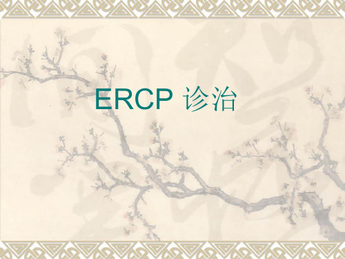 ERCP诊治
