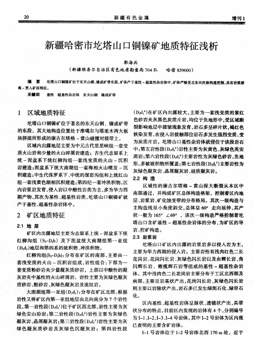 新疆哈密市圪塔山口铜镍矿地质特征浅析