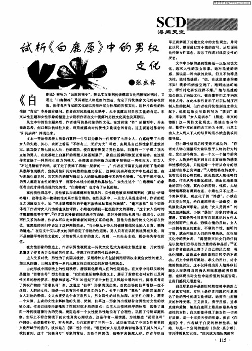 试析《白鹿原》中的男权文化