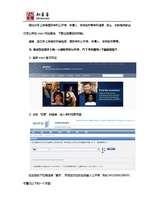 PCT国际专利查询和下载教程详解
