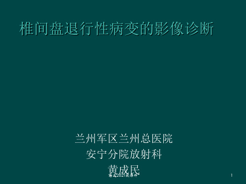 椎间盘退行性病变的影像诊断