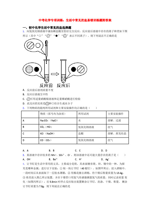 中考化学专项训练：生活中常见的盐易错训练题附答案