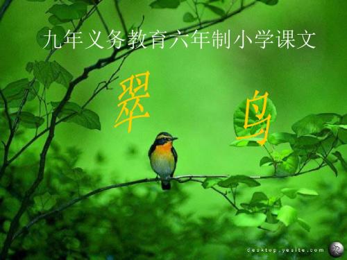 人教版三年级语文下册翠鸟(5)