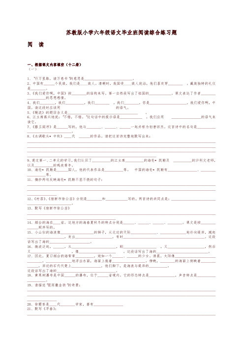 苏教版小学六年级语文毕业班阅读综合练习题