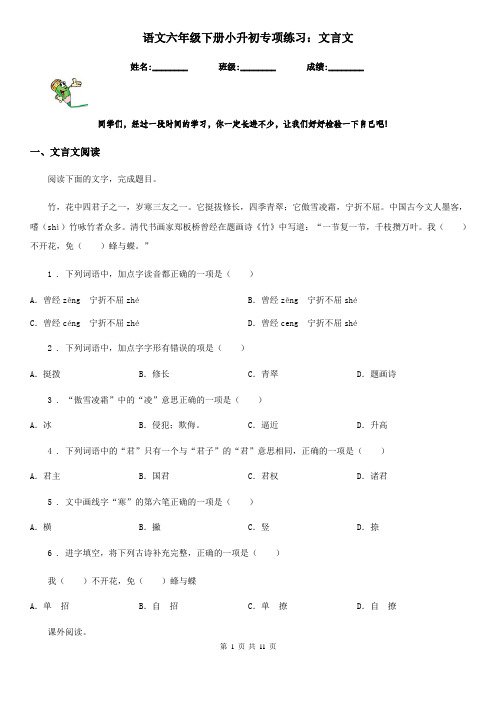 语文六年级下册小升初专项练习：文言文