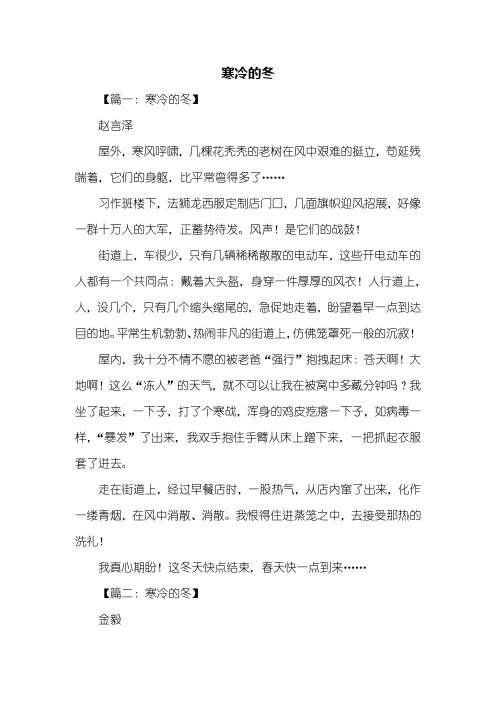 五年级作文：寒冷的冬作文400字