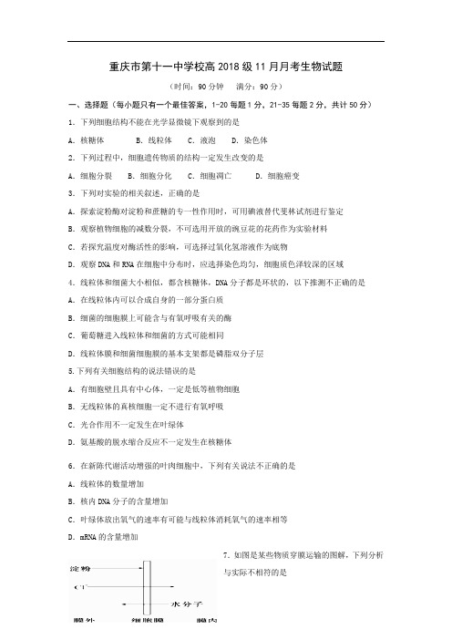 重庆市2018届高三11月月考生物试题 含答案