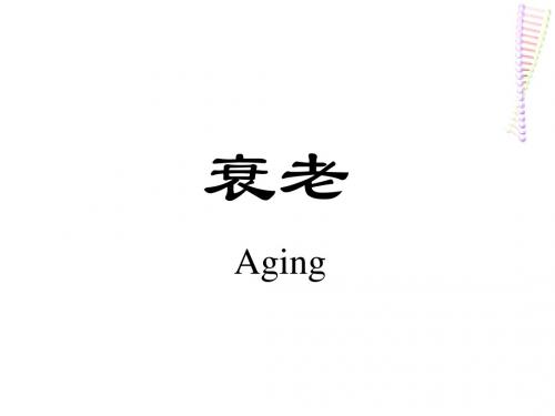 衰老