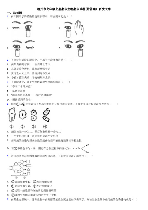 柳州市七年级上册期末生物期末试卷(带答案)-百度文库