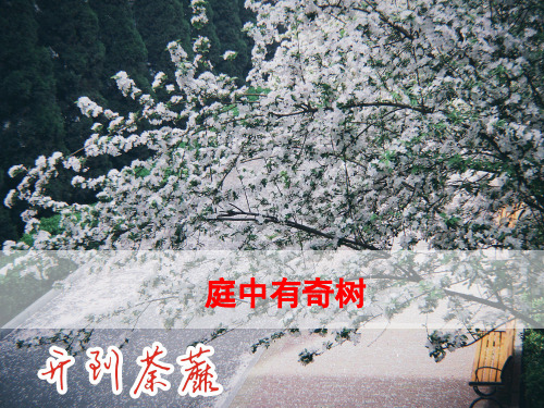 部编版八年级上册第三单元《课外古诗词诵读》