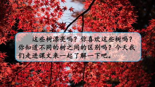 部编人教版二年级上册语文 识字2 树之歌