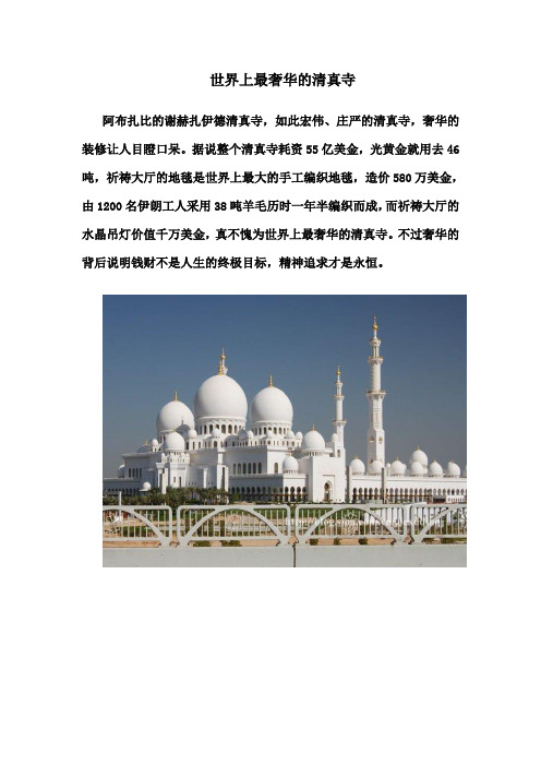世界上最奢华的清真寺