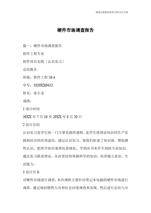 硬件市场调查报告