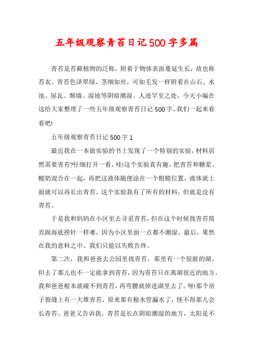 五年级观察青苔日记500字多篇
