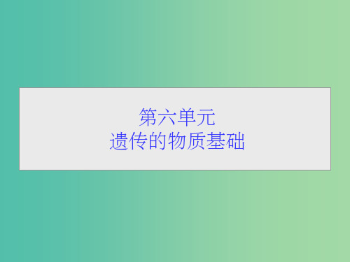 高考生物一轮总复习 第六单元 第一讲 DNA是主要的遗传物质课件