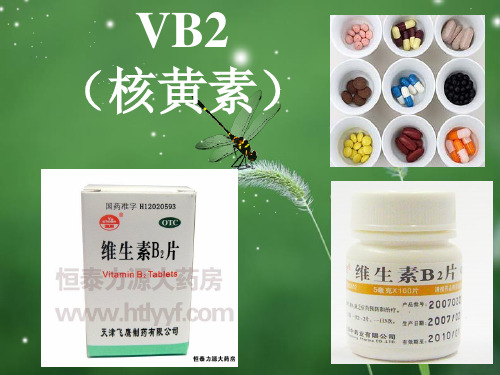 VB2工艺合成