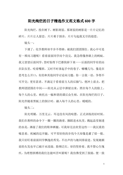 阳光绚烂的日子精选作文范文格式600字