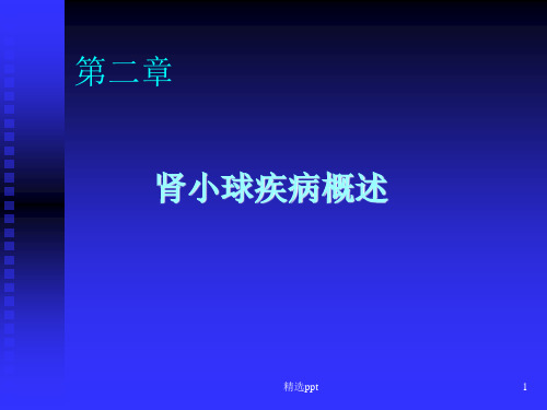 内科学肾小球疾病概述