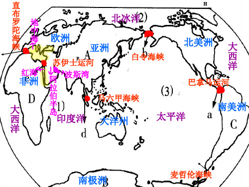 历史与社会期末复习课件-35页精选文档