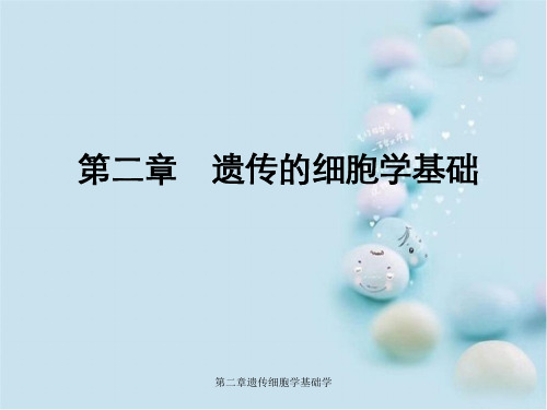 第二章遗传细胞学基础学