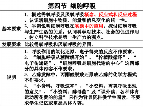 浙科版必修1第四节细胞呼吸课件2