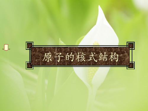 原子的核式结构PPT教学课件