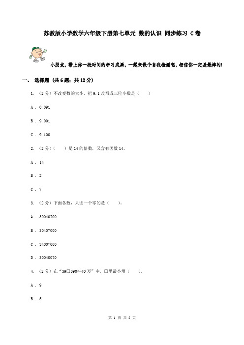 苏教版小学数学六年级下册第七单元 数的认识 同步练习 C卷