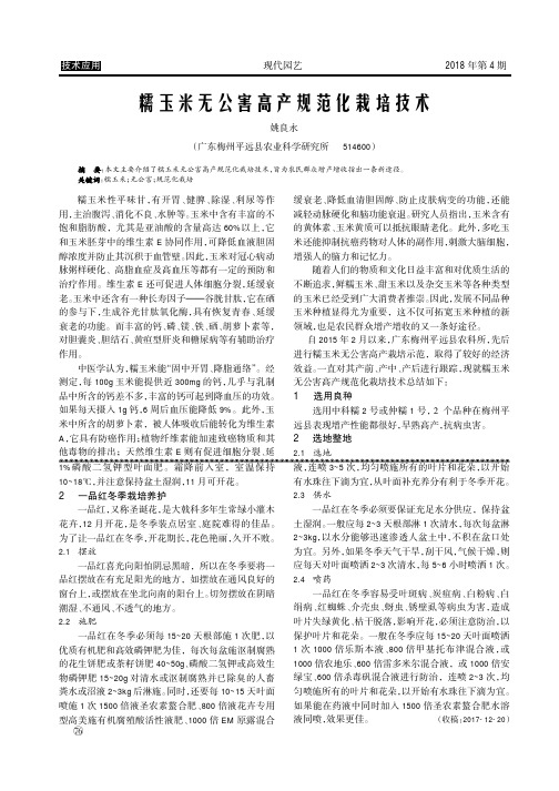 糯玉米无公害高产规范化栽培技术