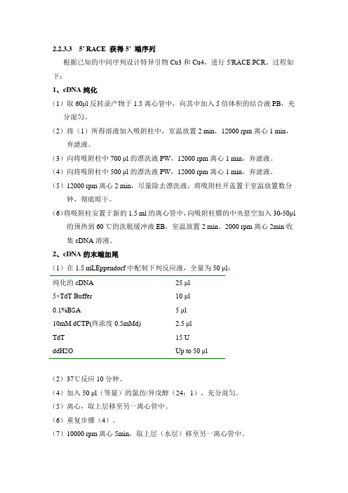 5'race 的实验方法
