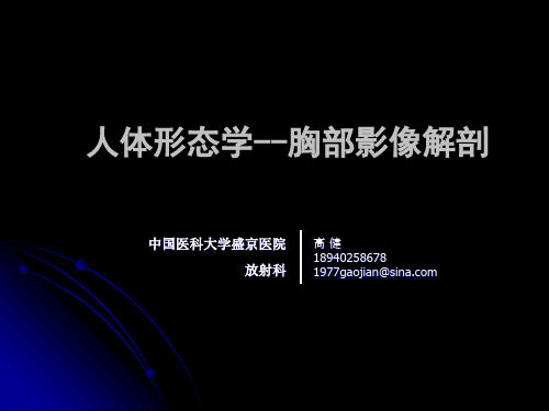 人体形态胸部解剖2012