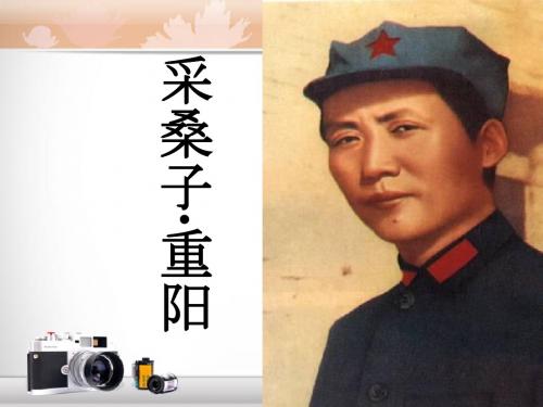 《采桑子.重阳》