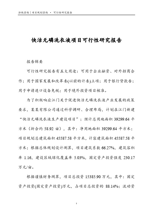 快洁无磷洗衣液项目可行性研究报告