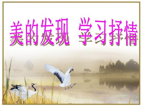 《美的发现——学习抒情》