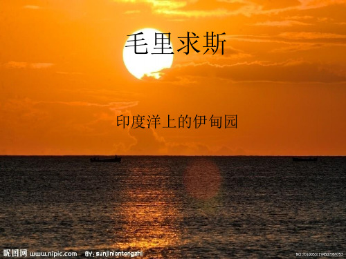 毛里求斯--