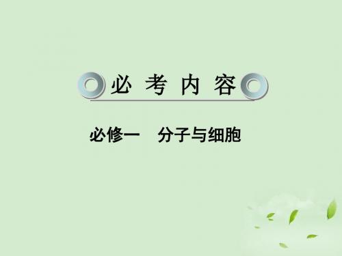 2013年高考生物一轮复习讲义 3-3 能量之源----光与光合作课件 新人教版必修1