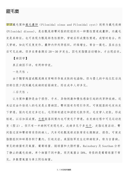 藏毛窦超声诊断