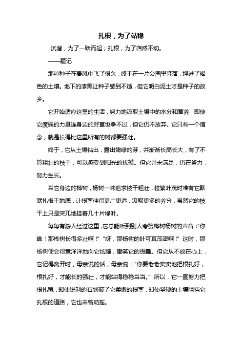 初一作文：以扎根为主题的作文800字
